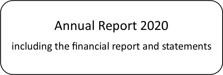 20 Annual report
